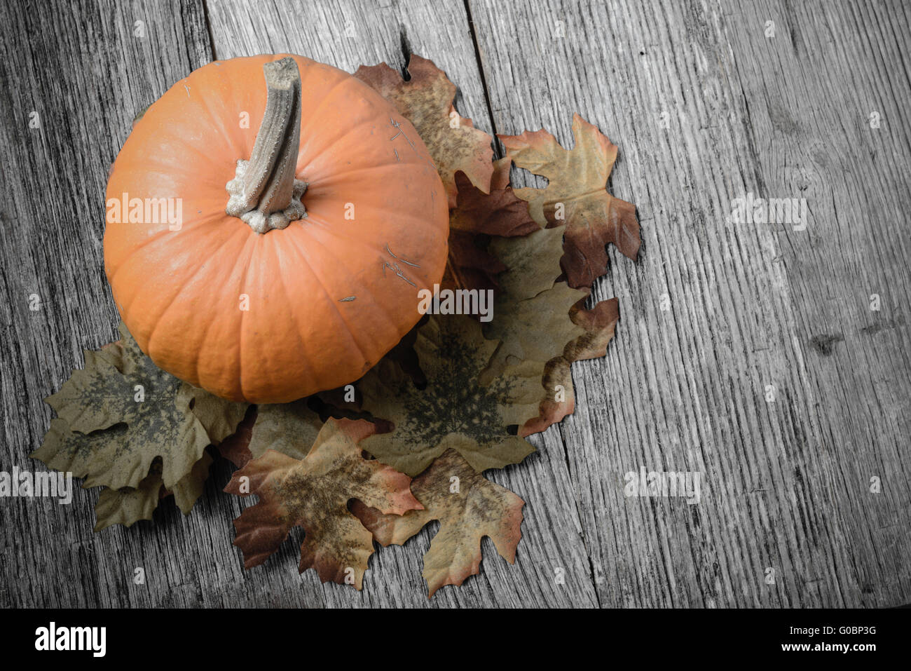 Pumpkin and Fall Leaves on Rustic Wood Background Stock Photo - Alamy