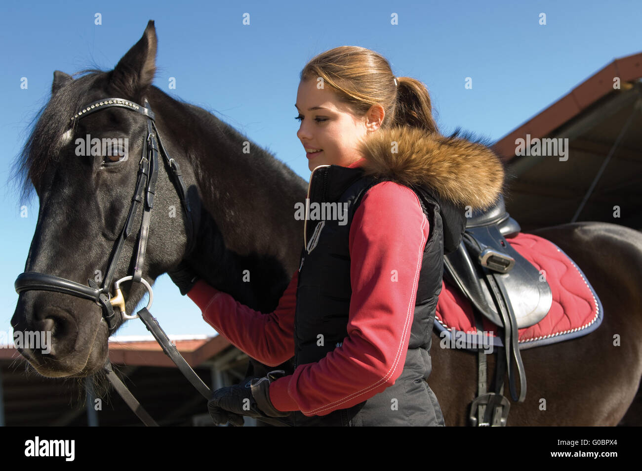rider with horse Stock Photo