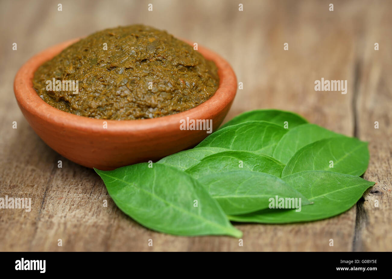 Ayurvedic henna leaves with paste in a clay bowl Stock Photo