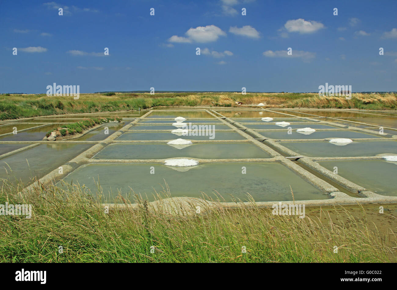Production of sea salt, Brittany, France Stock Photo Alamy