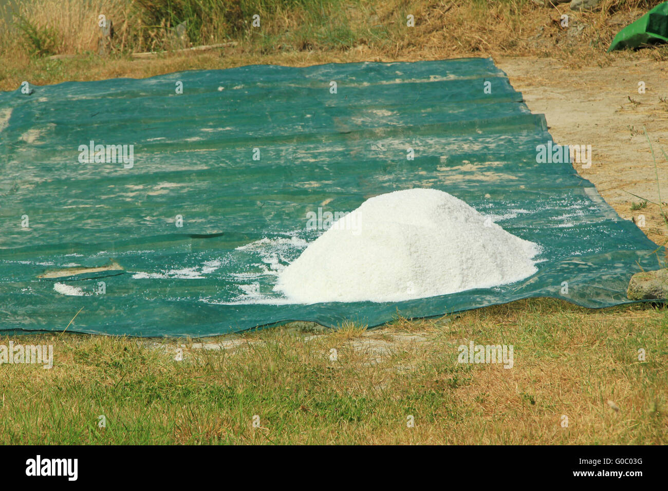 Production of sea salt, Brittany, France Stock Photo Alamy