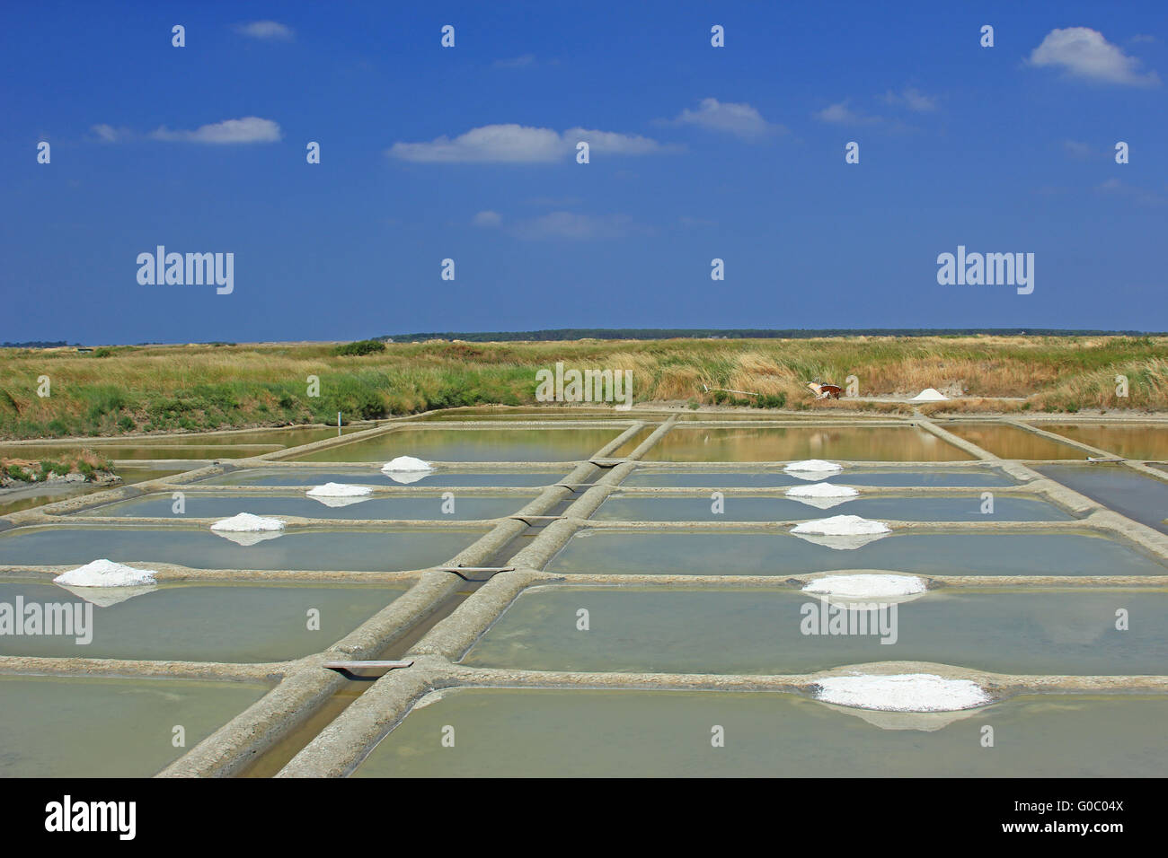 Production of sea salt, Brittany, France Stock Photo Alamy