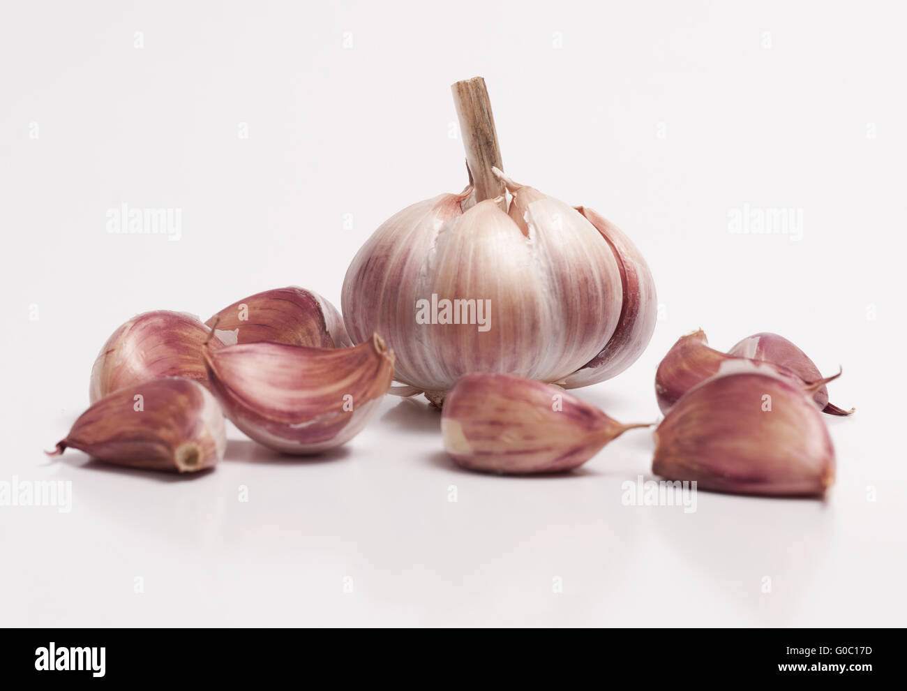 Garlic Bulb and a Individual Cloves Stock Photo