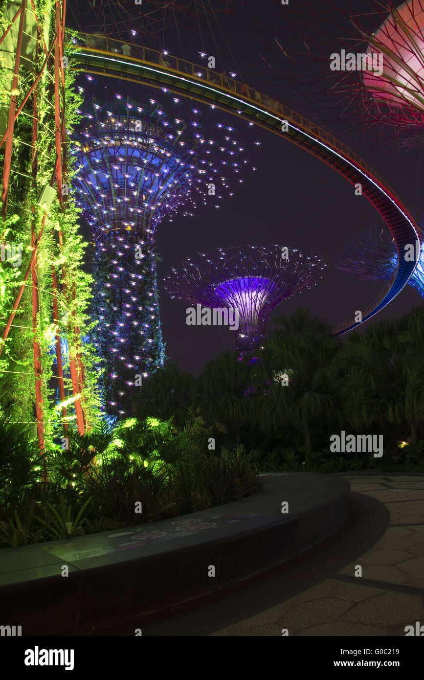 Supertrees, Gardens by the Bay, Singapore Stock Photo