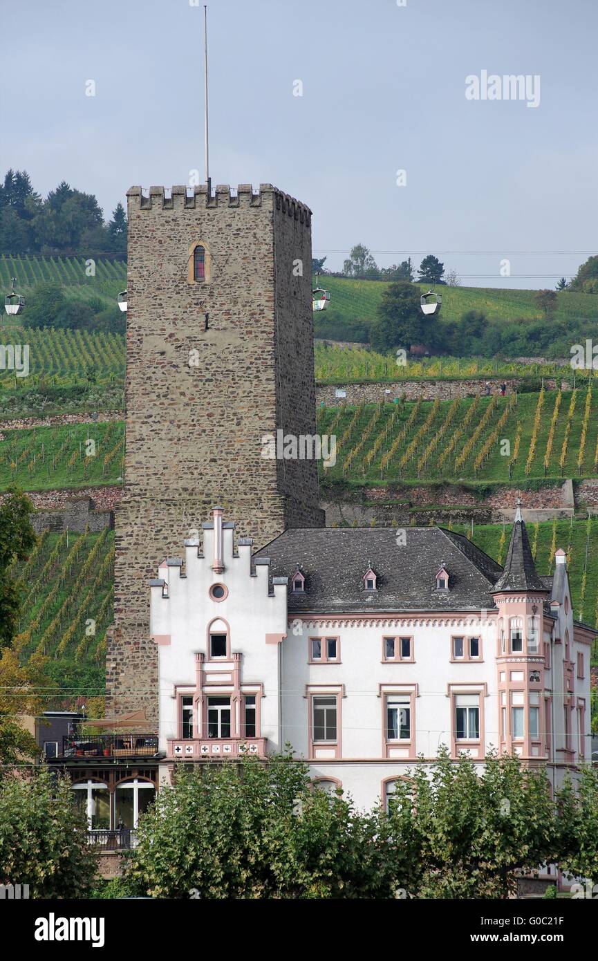 Castle Boosenburg Ruedesheim Stock Photo