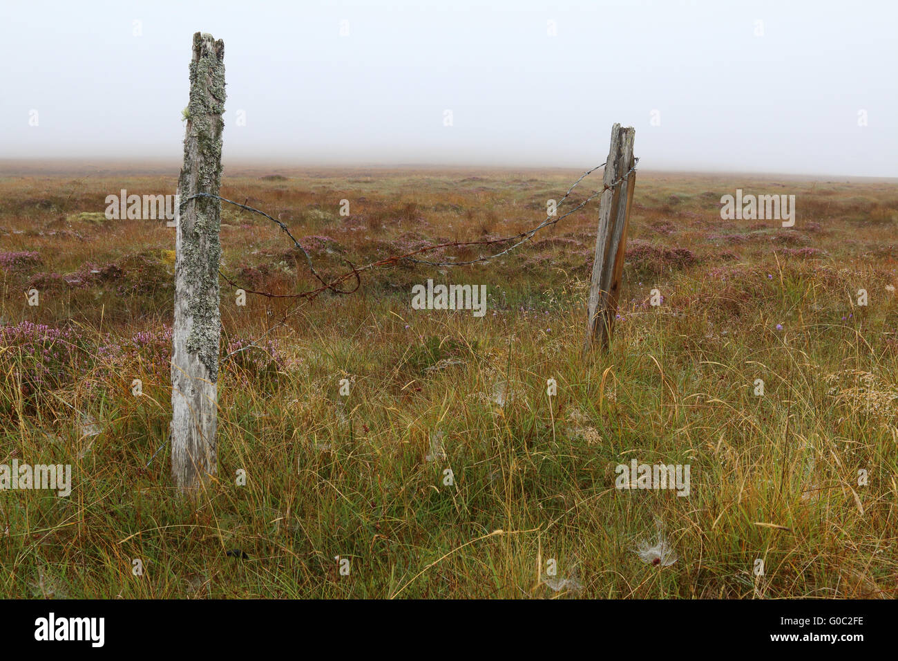 Peat bog, Isle of Lewis, Outer Hebrides, Scotland Stock Photo