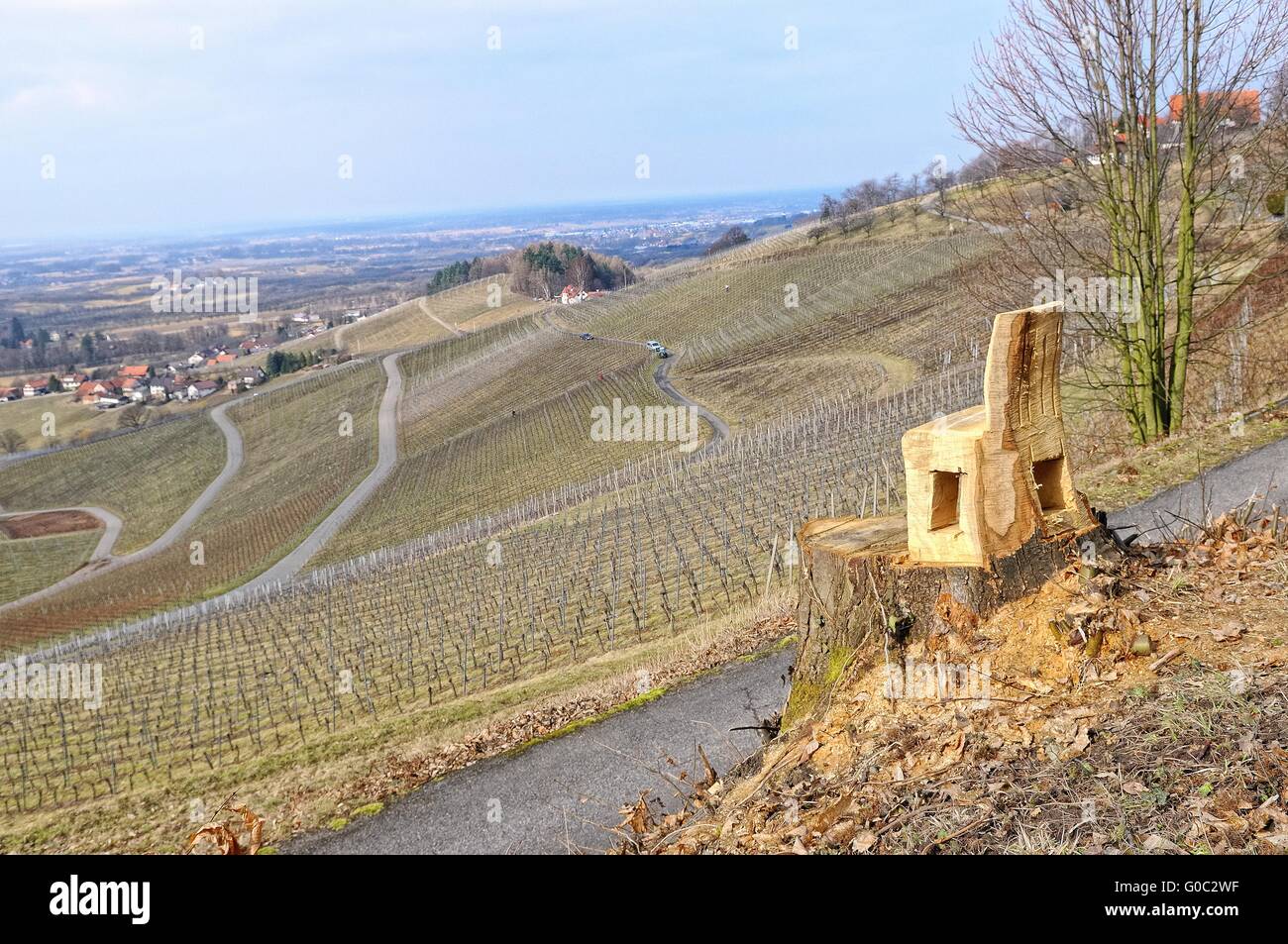 in the vines over Lauf Baden-Wurttemberg Germany Stock Photo