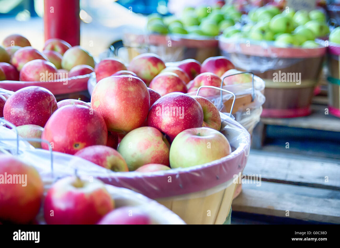Large bushel basket full of fresh locally grown red apples at local