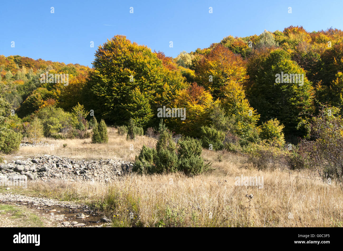 Autumn scene in mountain in sunny day Stock Photo - Alamy