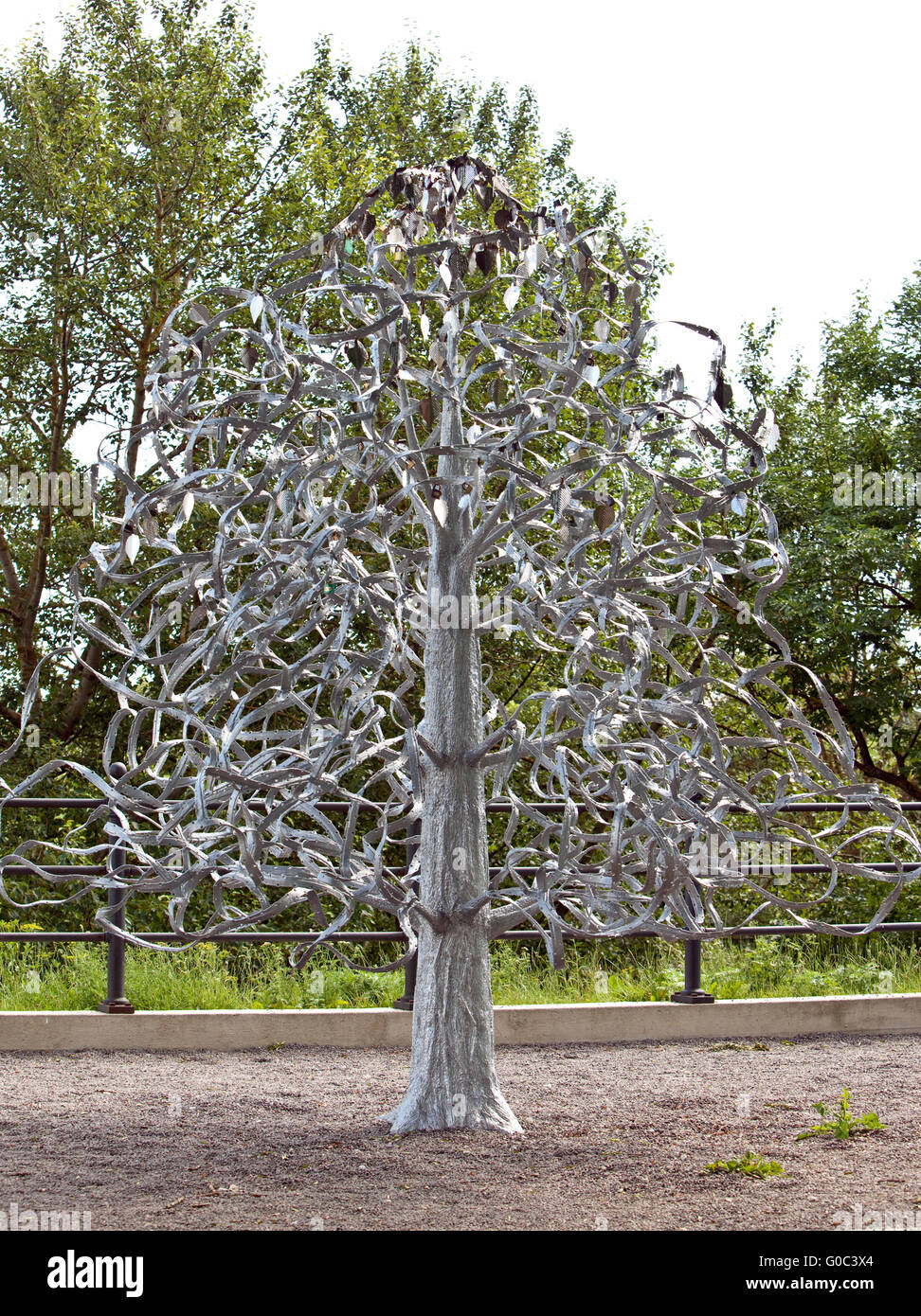 Wedding tree. Narva, Estonia. The wedding day atta Stock Photo - Alamy