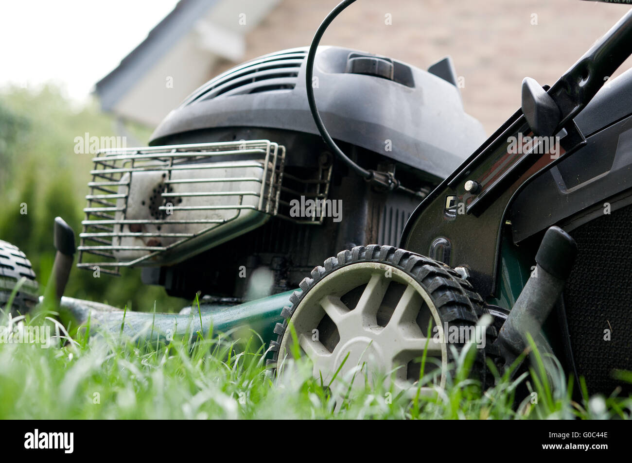 lawn mower cutting grass Stock Photo