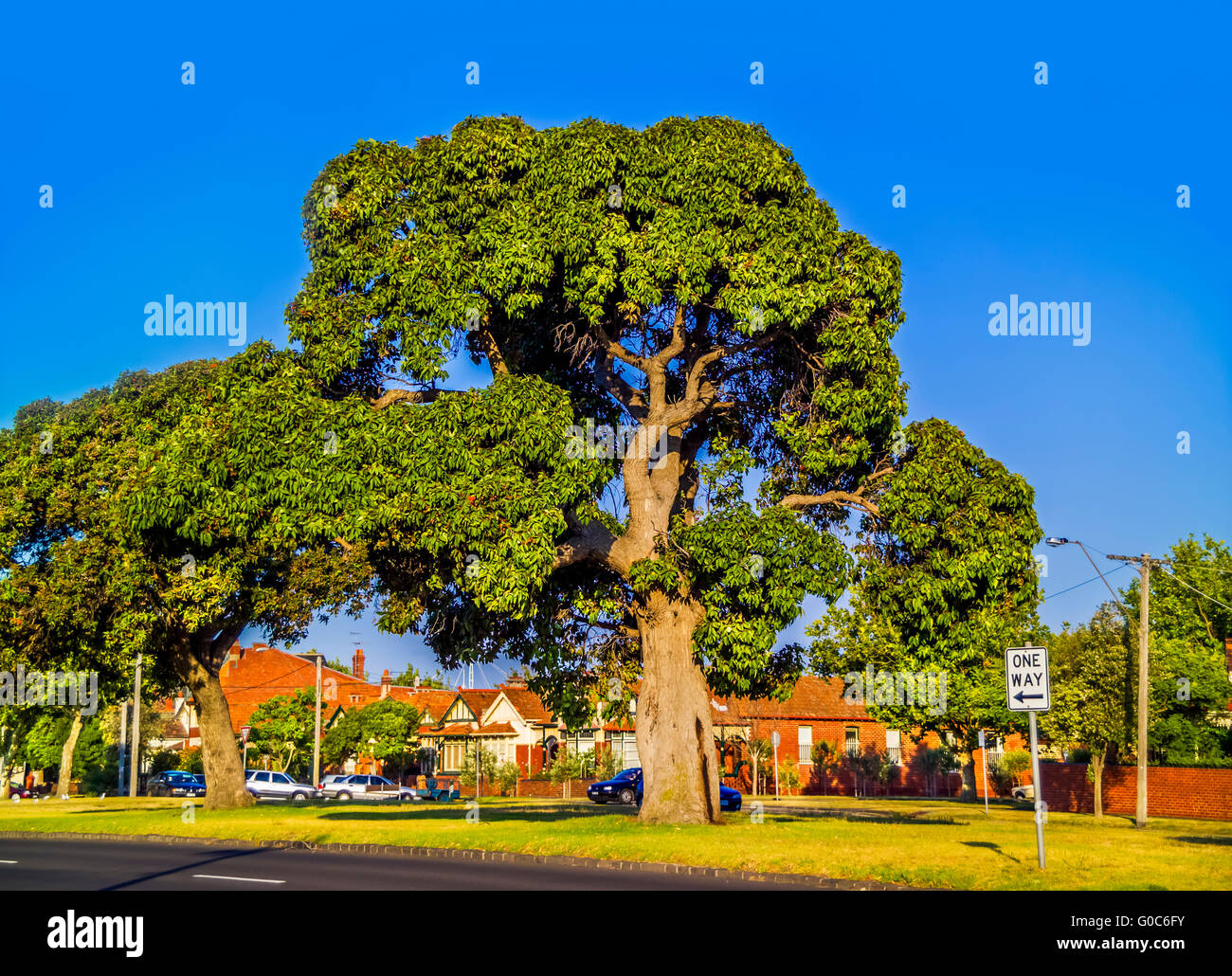 Melbourne australia streets hires stock photography and images Alamy