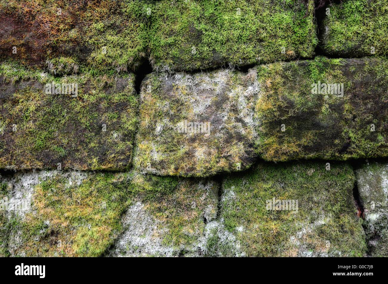old dry stone wall with moss and lichen grow soft Stock Photo - Alamy