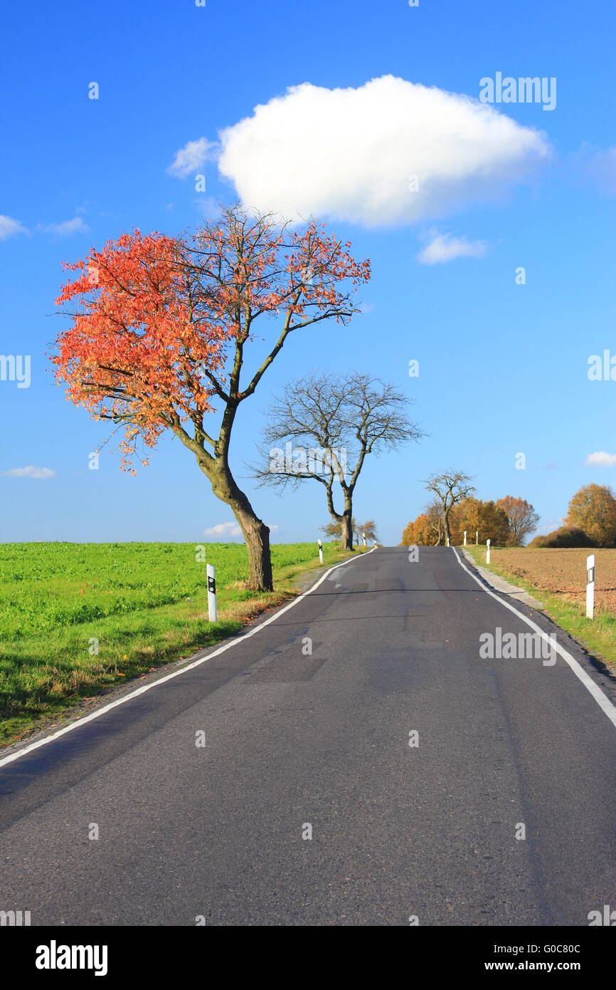 Country side road hi-res stock photography and images - Alamy