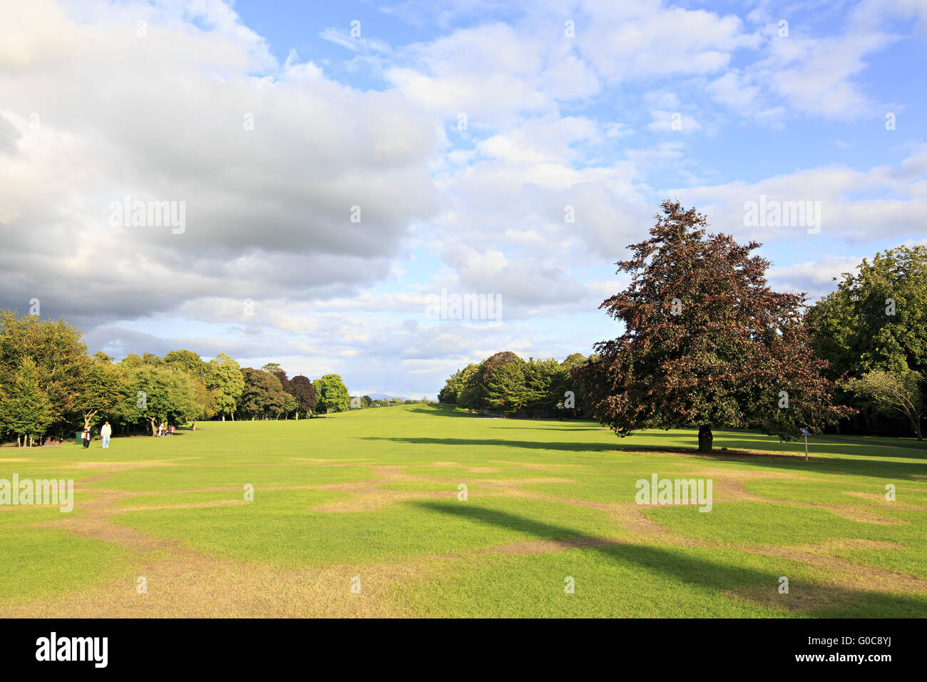 Beautiful park on territory of Kilkenny Castle Stock Photo