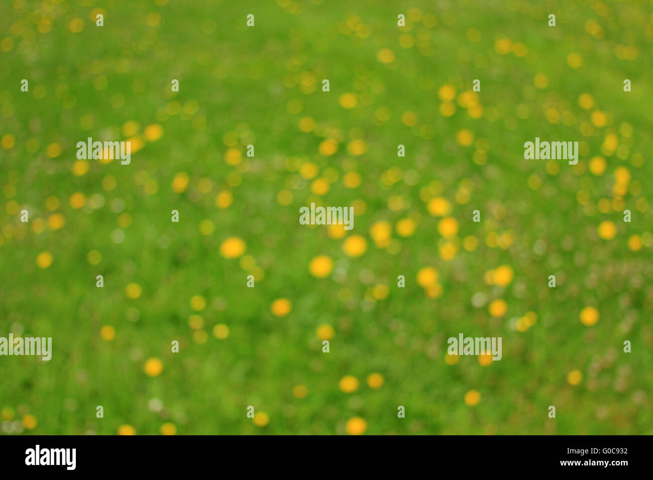 Abstract flower meadow Stock Photo