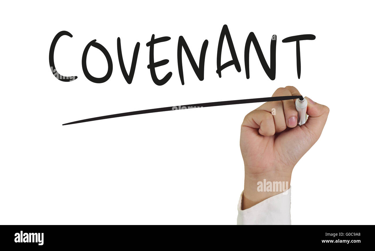 Business concept image of a hand holding marker and write Covenant isolated on white Stock Photo