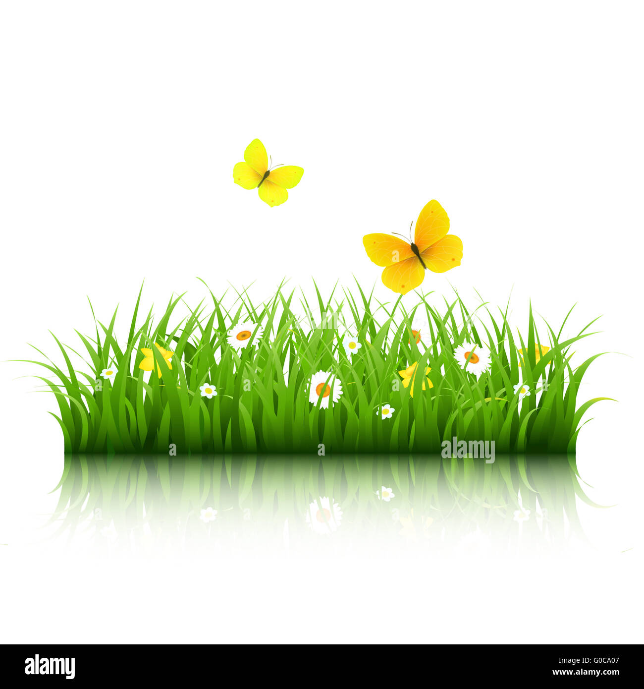 Grass With Butterfly Stock Photo - Alamy