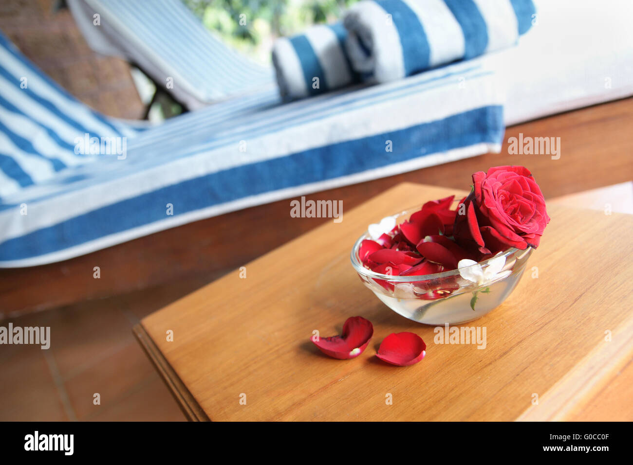 2 deck-chairs with striped towels and a rose in th Stock Photo
