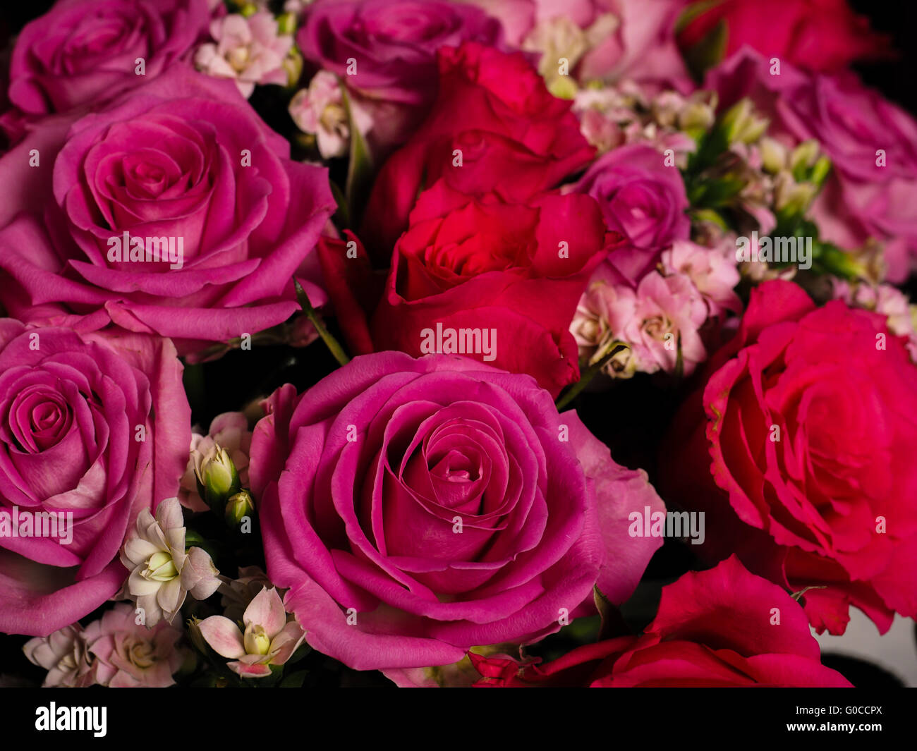 Bouquet of pink roses Stock Photo - Alamy