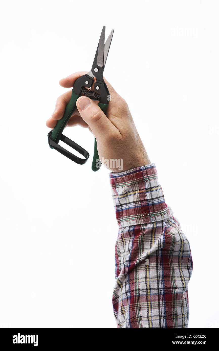 Gardener's hands holding pruning shears on white background, hobby and gardening concept Stock Photo