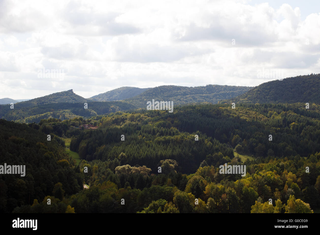 Palatinate Forest 005. Germany Stock Photo - Alamy