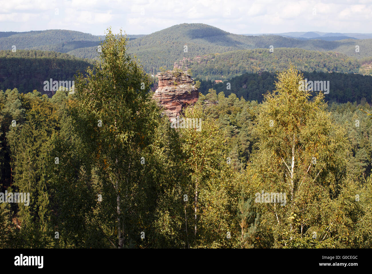 Palatinate Forest 002. Germany Stock Photo - Alamy