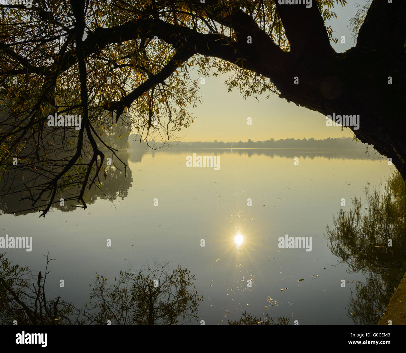 Herastrau Lake at Morning Light Stock Photo Alamy