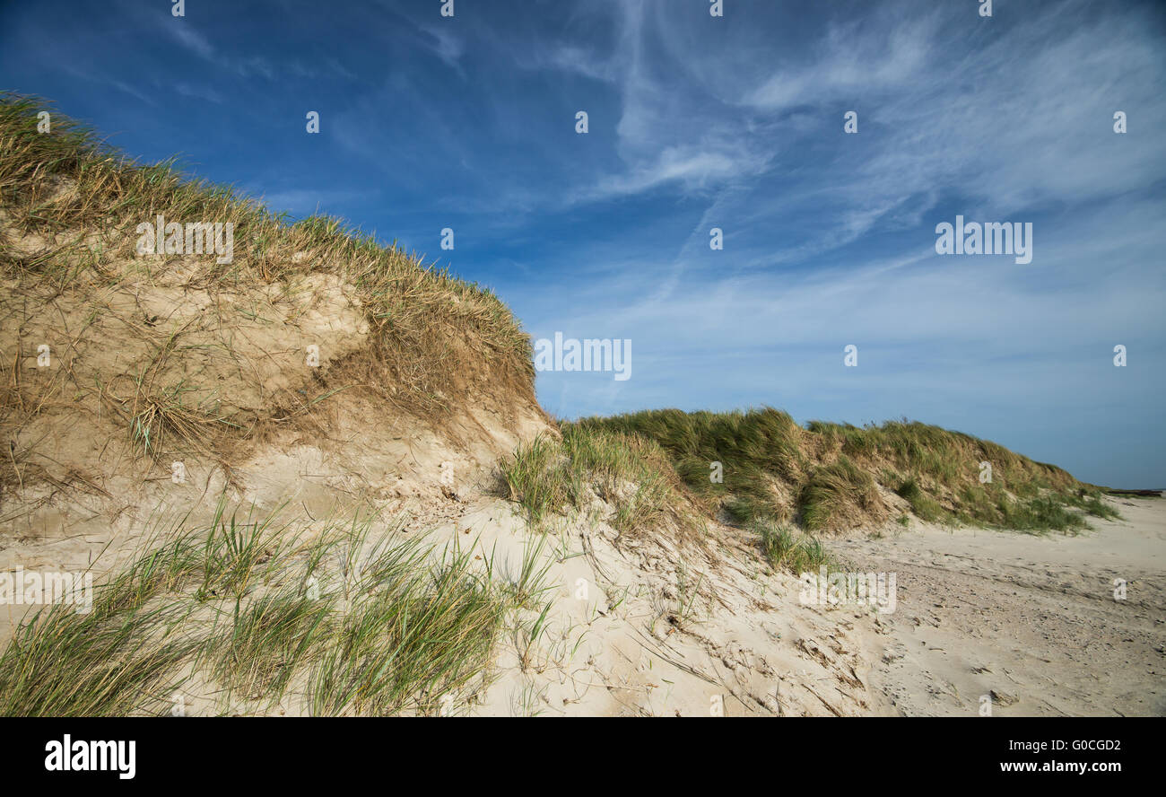 dunes at the beach Stock Photo - Alamy
