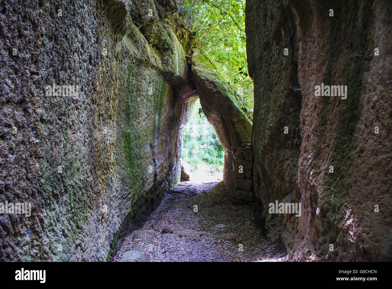 Hollow way (artificially cut road)of the Etruscans Stock Photo