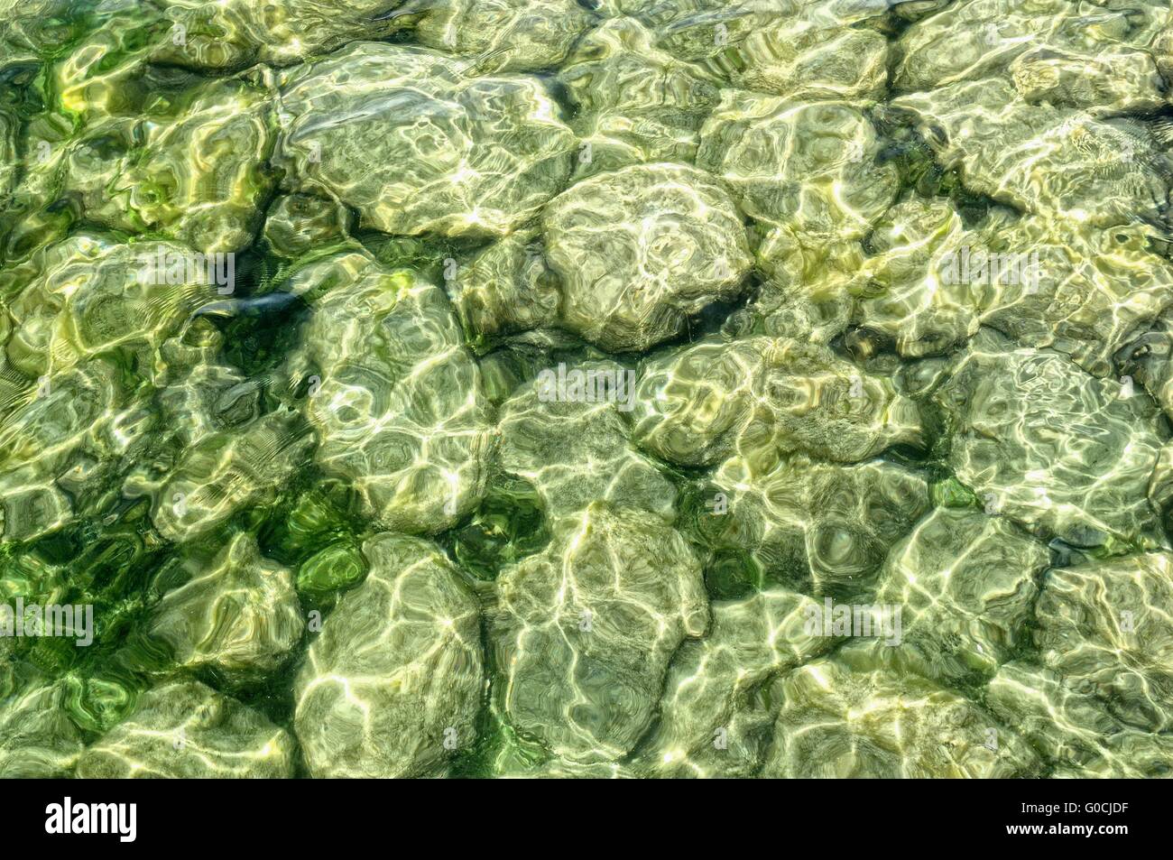 covered with algae and silt stones under water Stock Photo