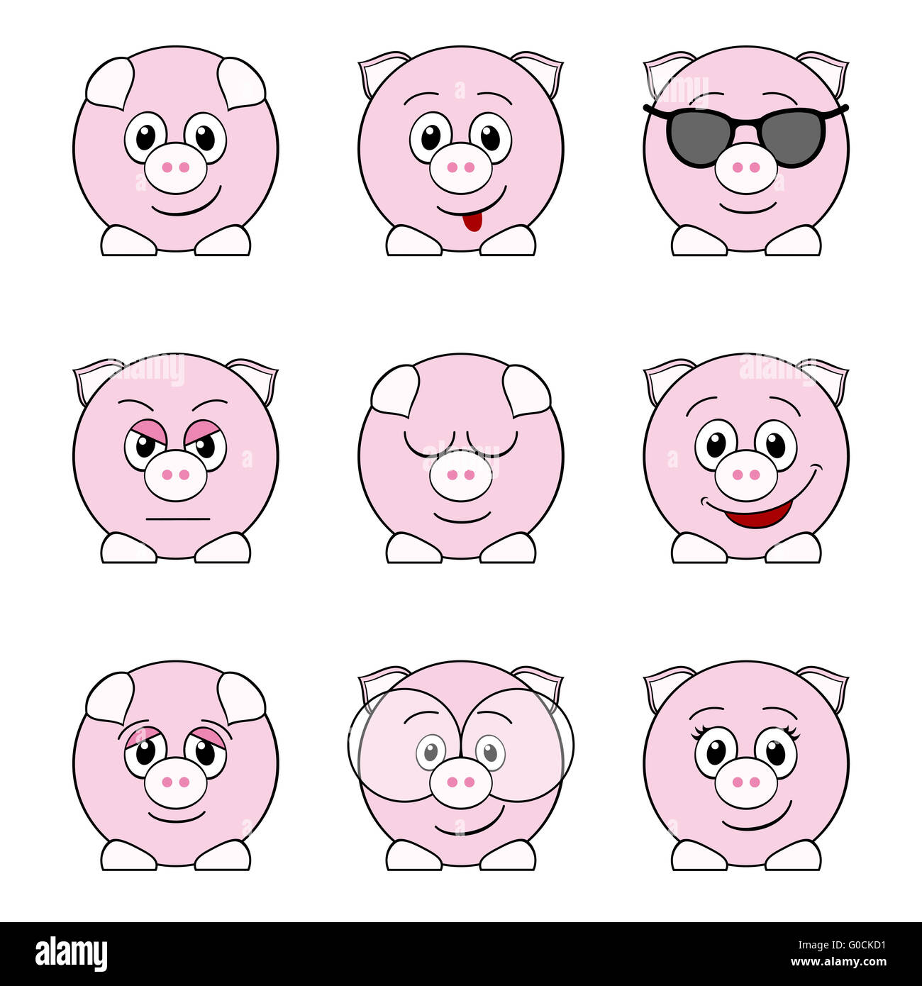 funny pigs Stock Photo