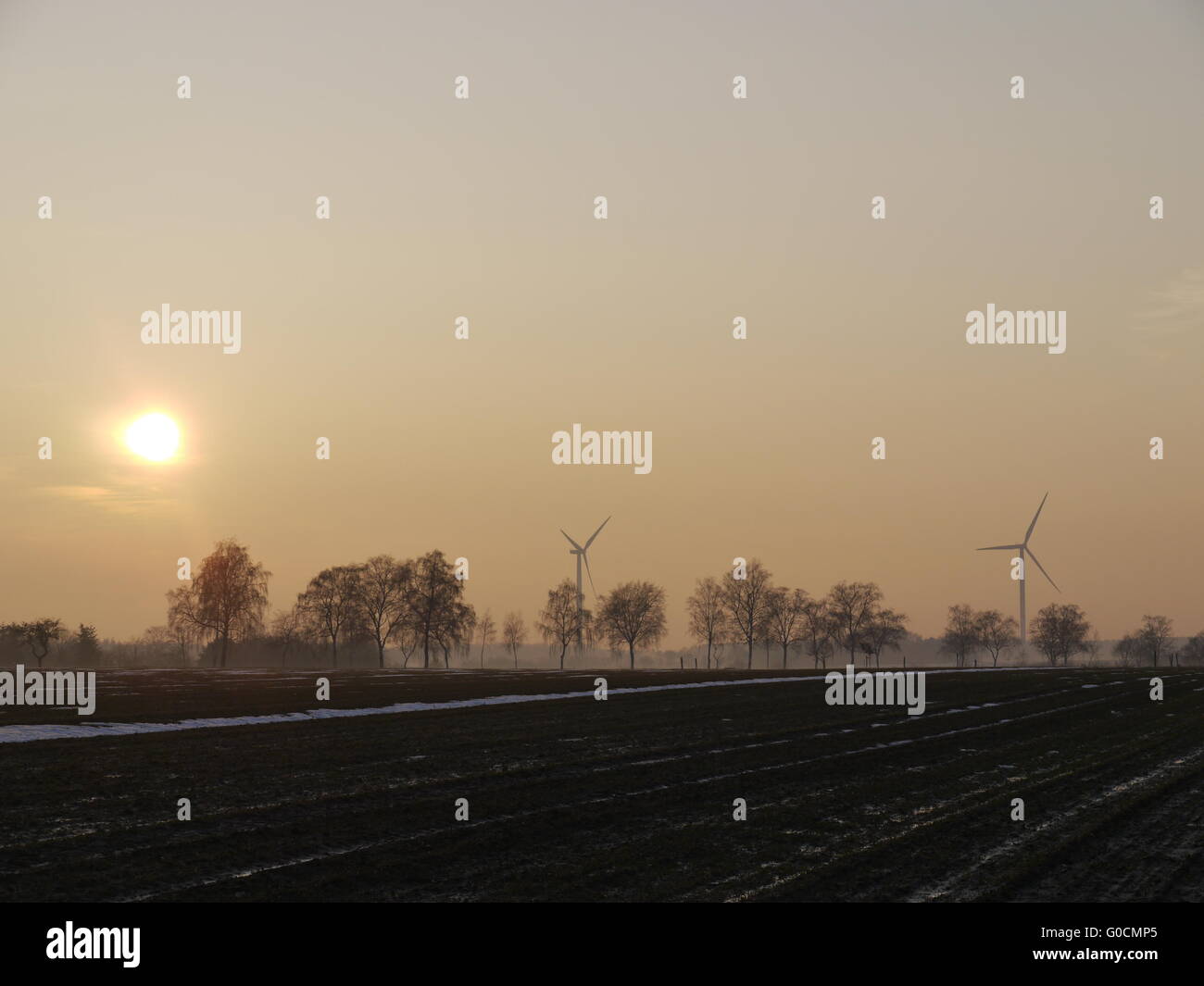 edge of the field Stock Photo - Alamy