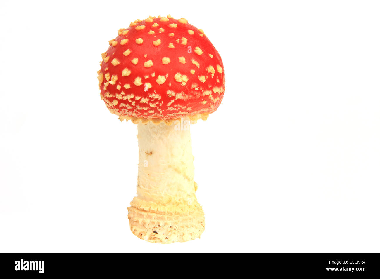 Fly agaric mushrooms (Amanita muscaria) Stock Photo