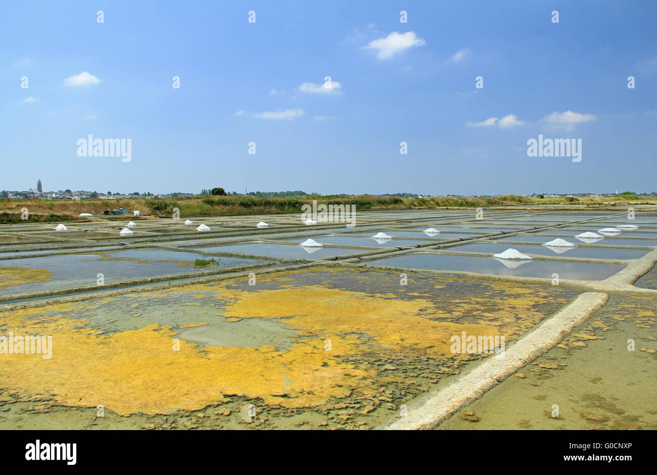 Salty sole water hires stock photography and images Alamy