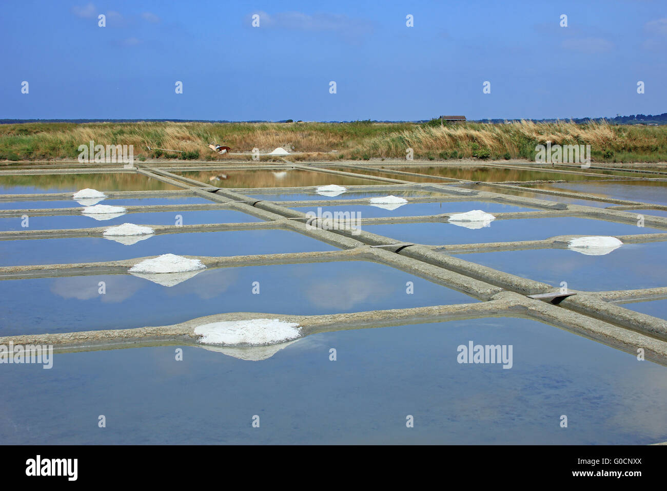Production of sea salt, Brittany, France Stock Photo Alamy
