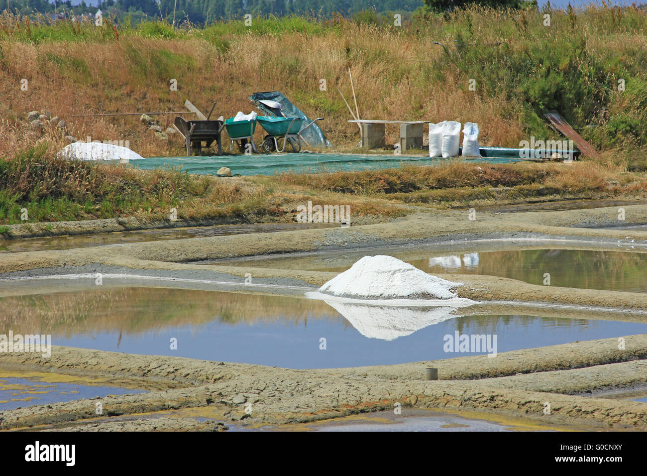 Production of sea salt, Brittany, France Stock Photo Alamy