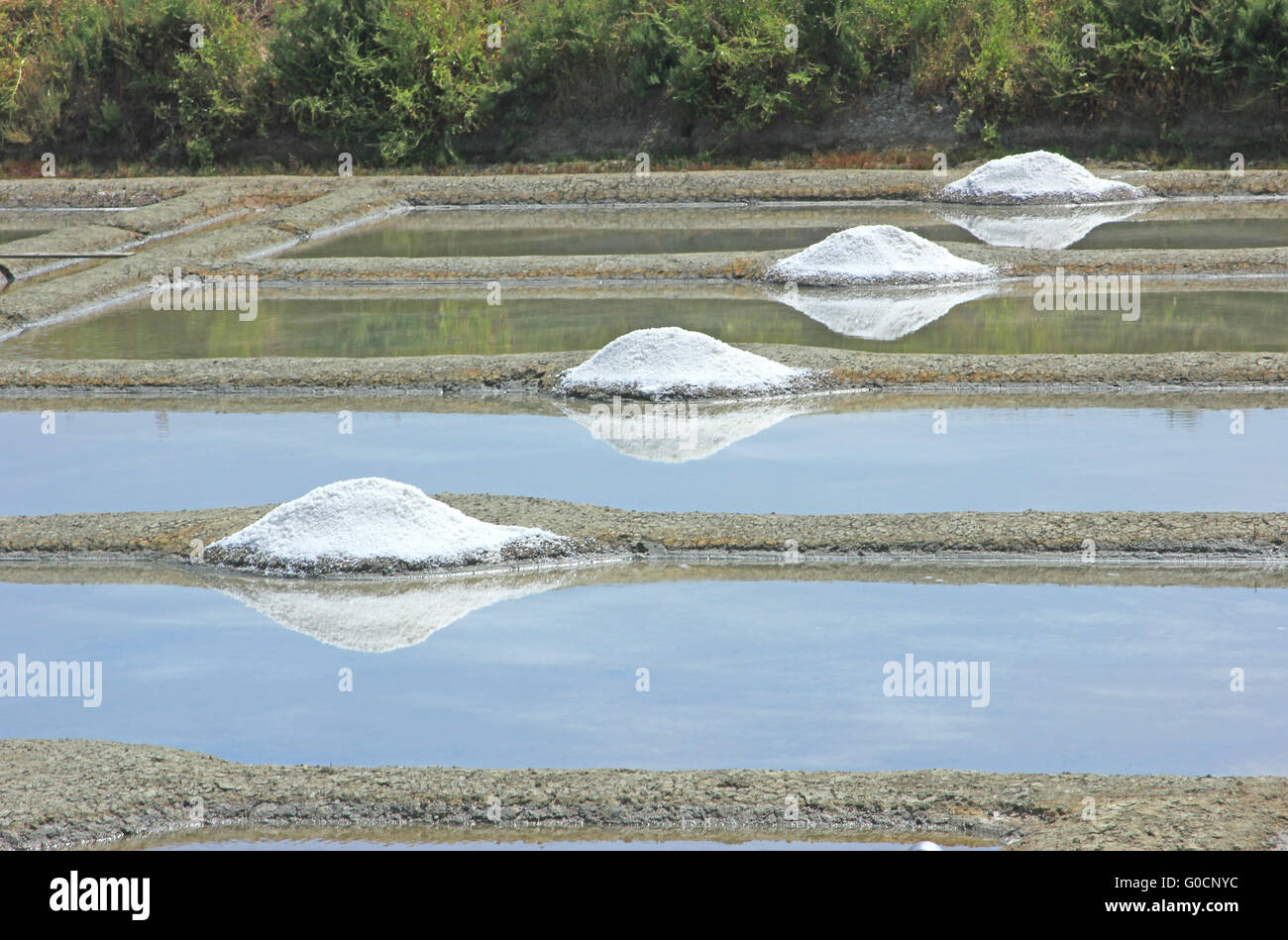 Production of sea salt, Brittany, France Stock Photo Alamy