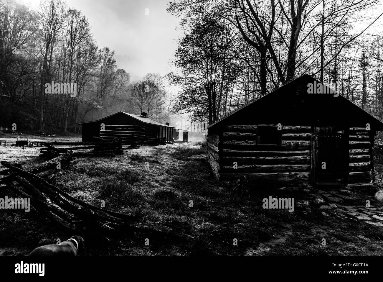 Cabins At The Charit Creek Lodge In Big South Fork Stock Photo