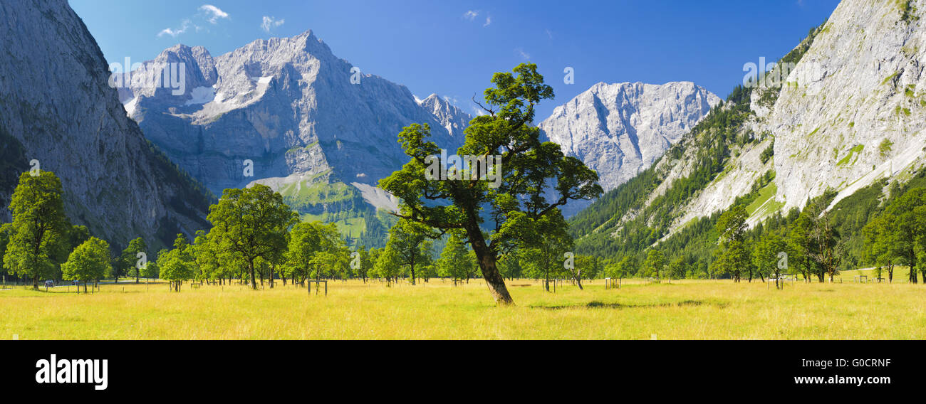 panorama landscape in Bavaria with alps mountains Stock Photo