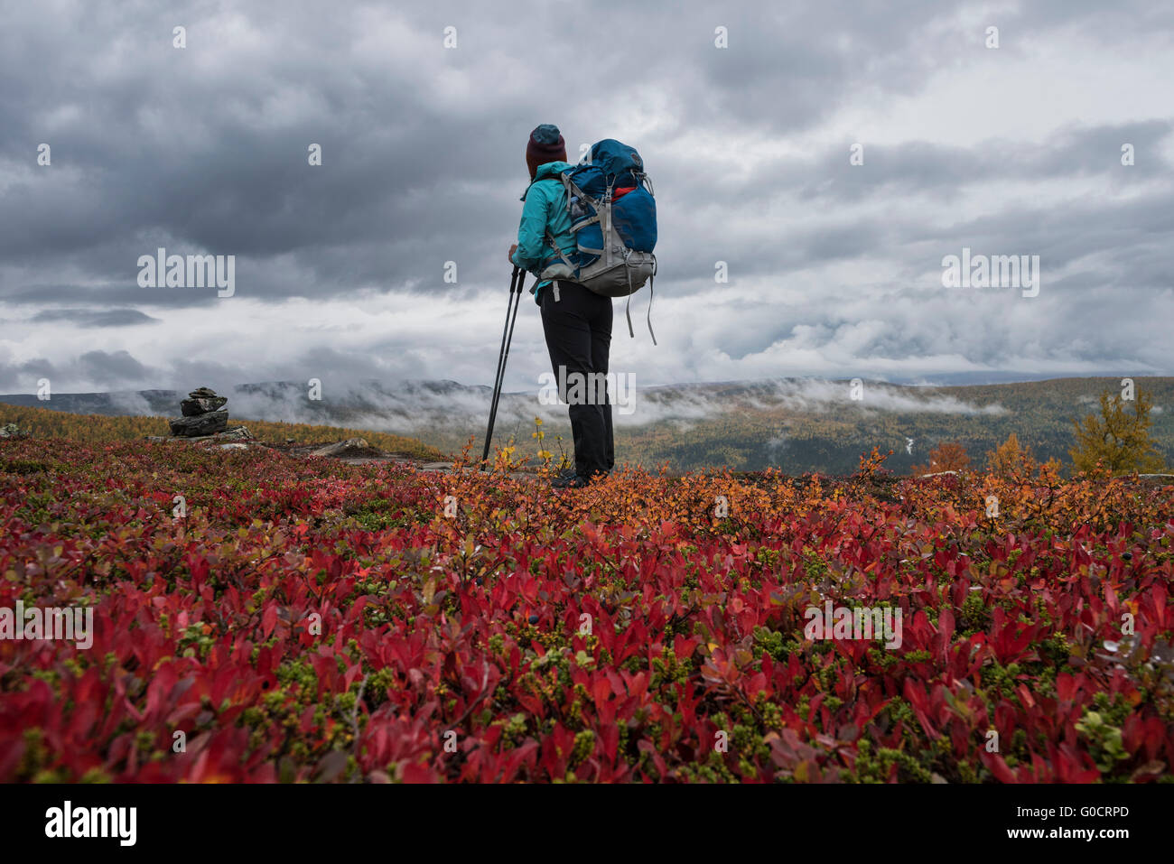 Female hiker takes in mountain view in colorful autumn landscape, near Aigert hut, Kungsleden trail, Lapland, Sweden Stock Photo