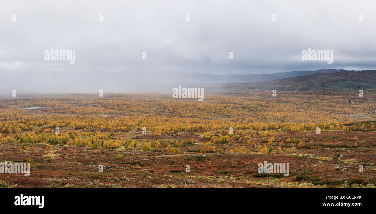 Approaching rain over autumn mountain landscape near Serve hut, Kungsleden trail, Lapland, Sweden Stock Photo