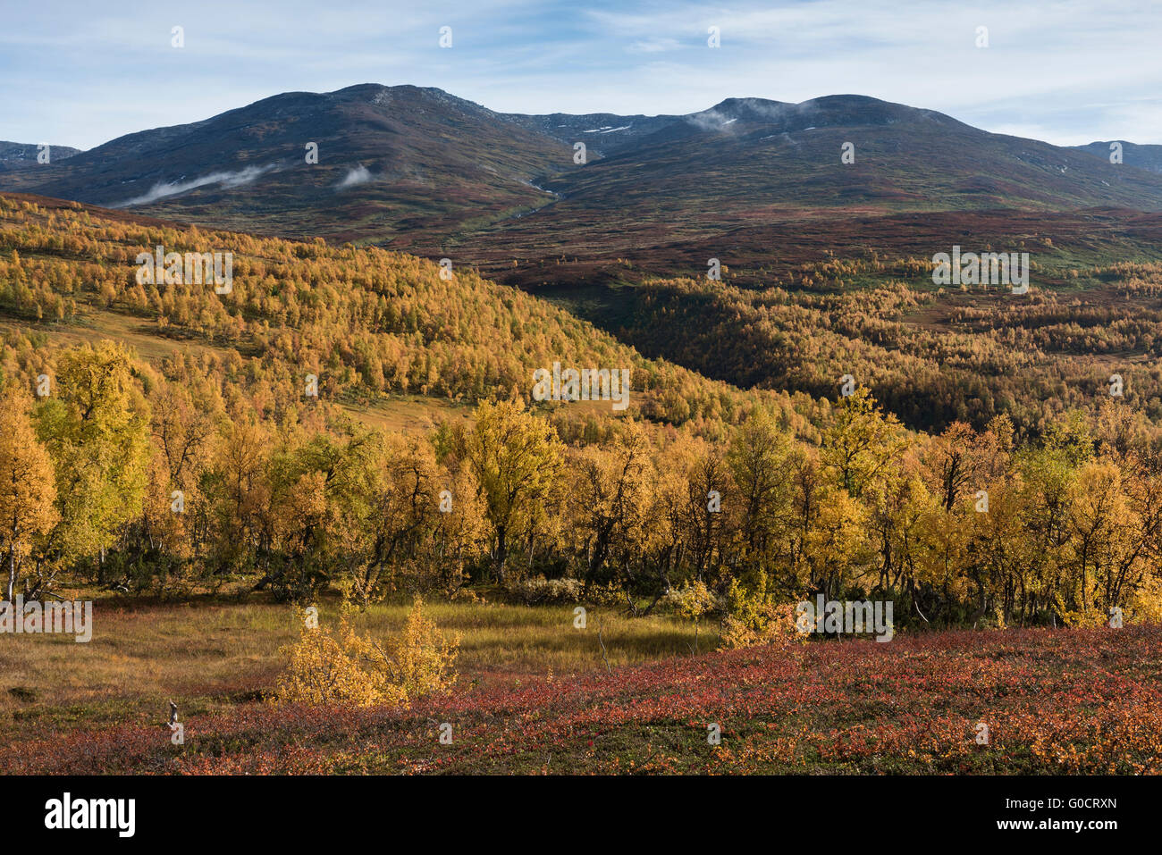 Autumn mountain landscape viewed from Kungsleden trail near Hemavan, Lapland, Sweden Stock Photo