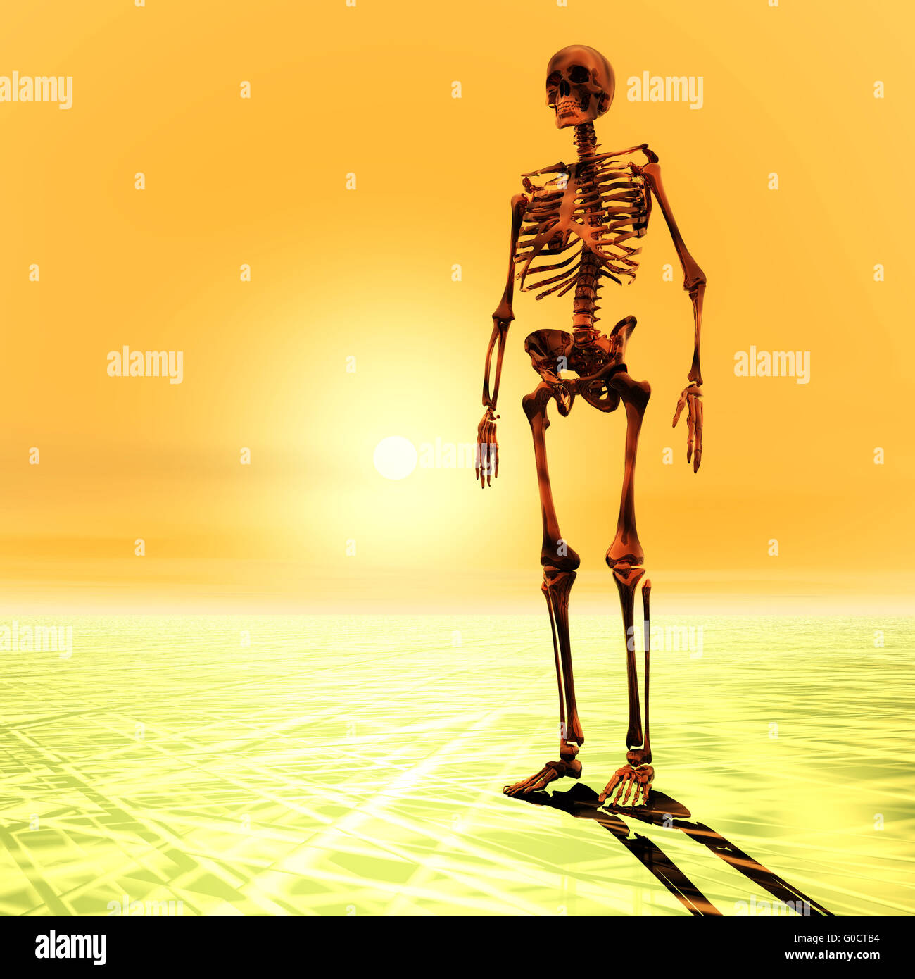 Digital Illustration of a Skeleton Stock Photo