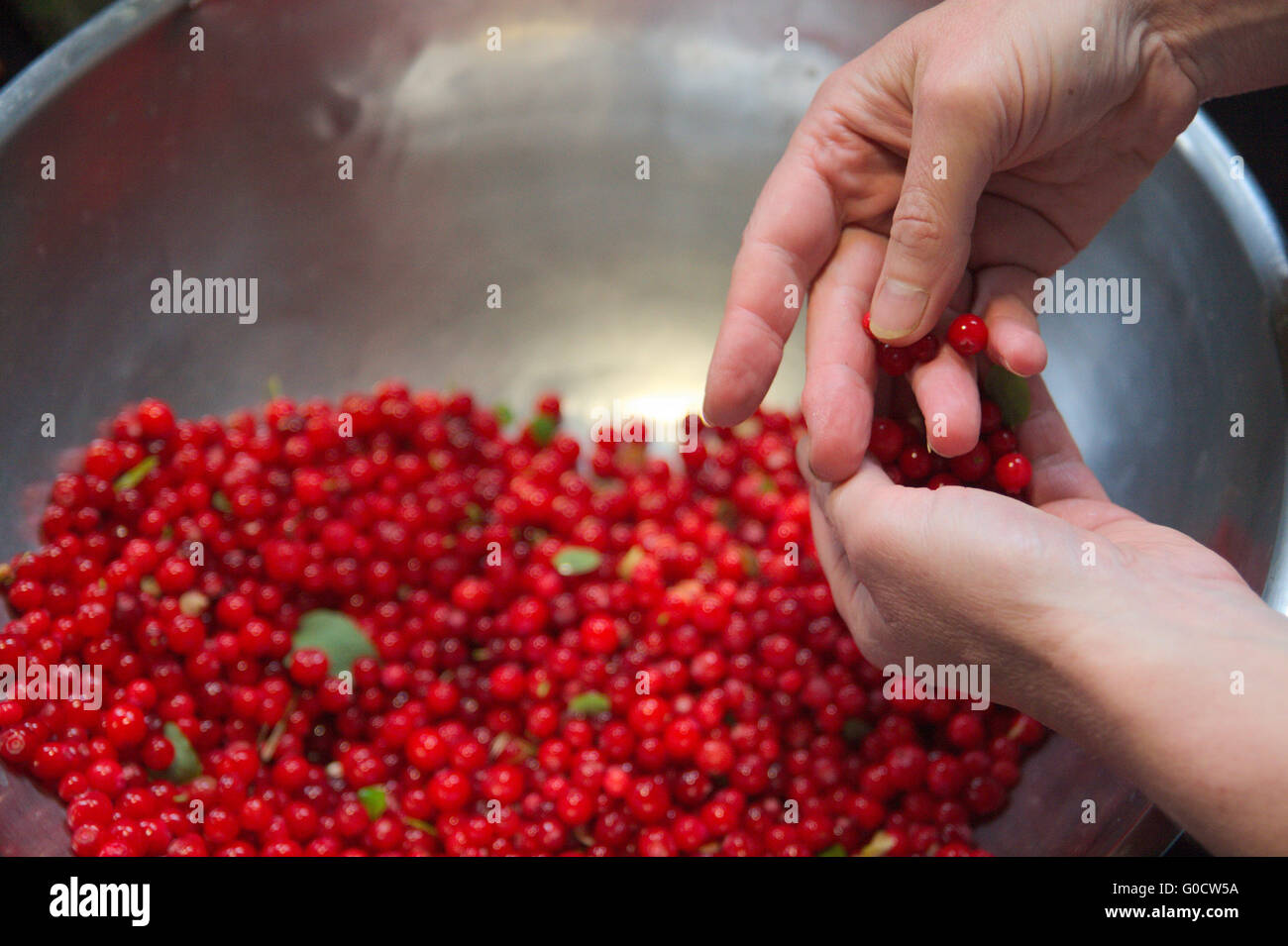 Hands on sorting hi-res stock photography and images - Alamy