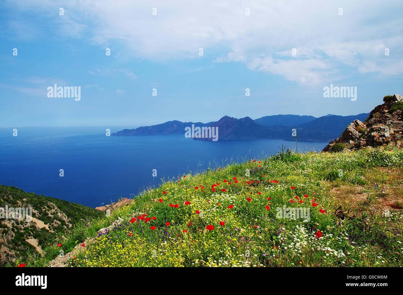 Panoramic View of the Gulf of Porto - Corsica Stock Photo
