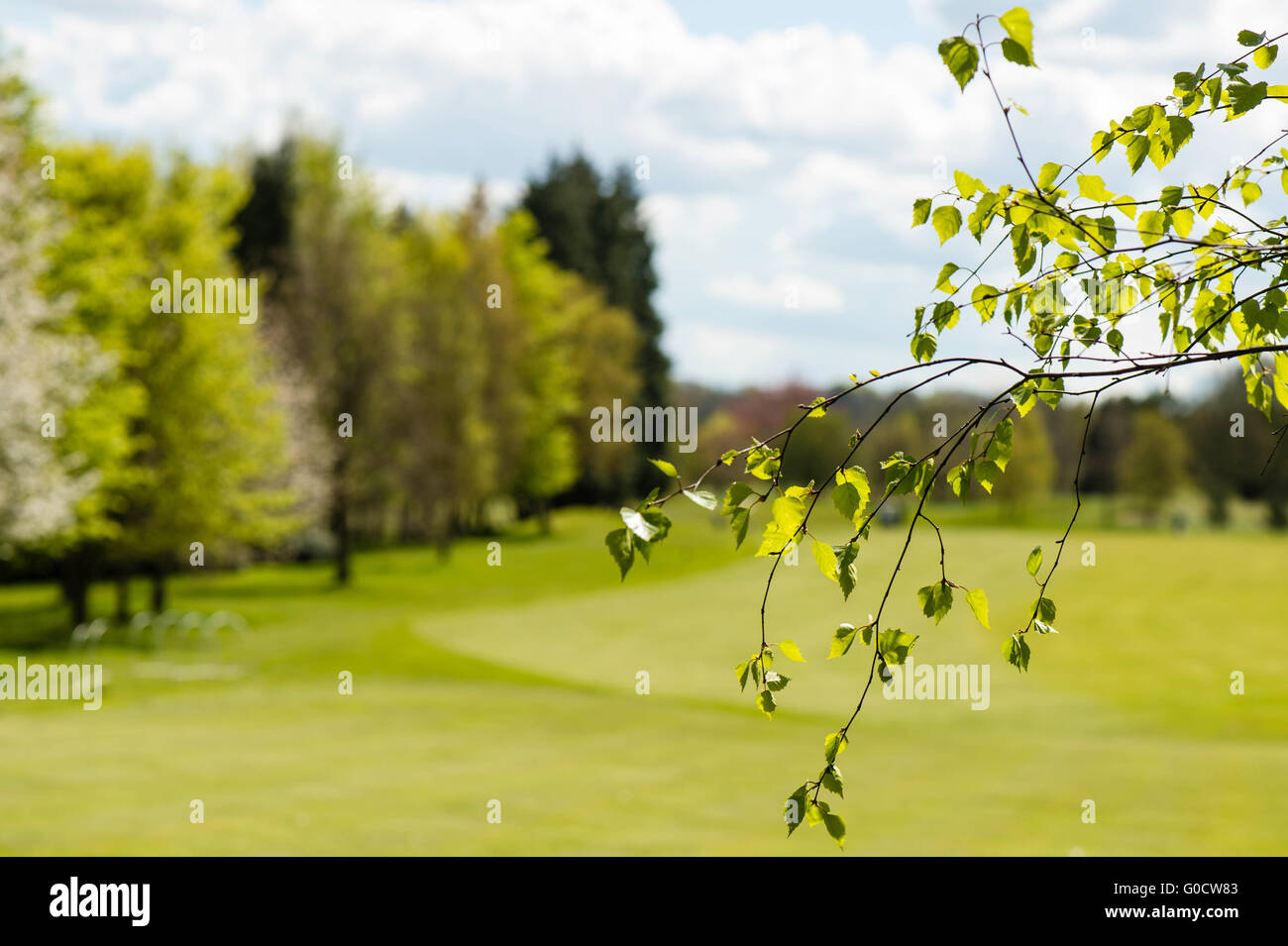 Golf Course Fairway In Springtime Lined With Trees Stock Photo