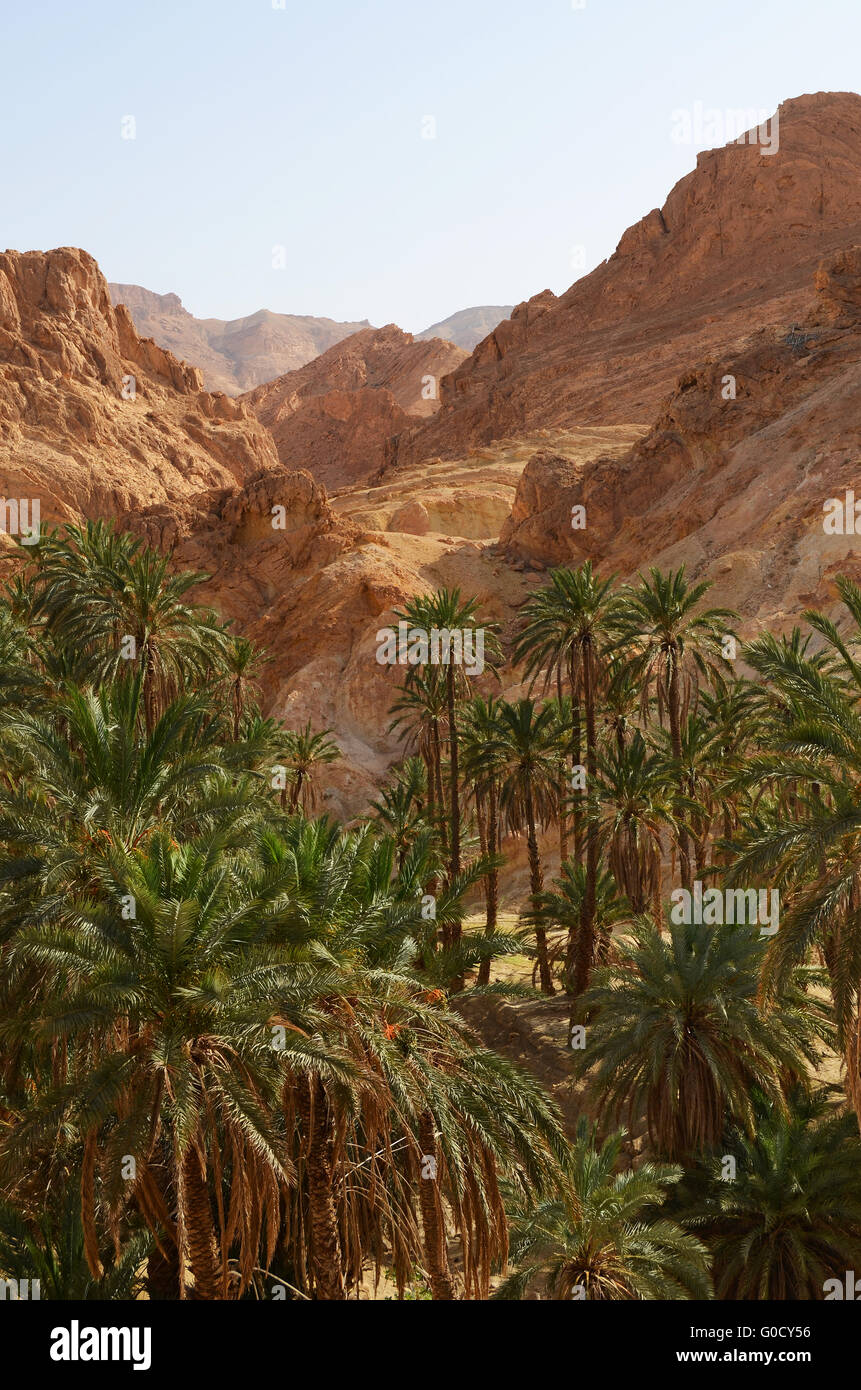 Famous Mountain oasis Chebika in Tunisia Stock Photo