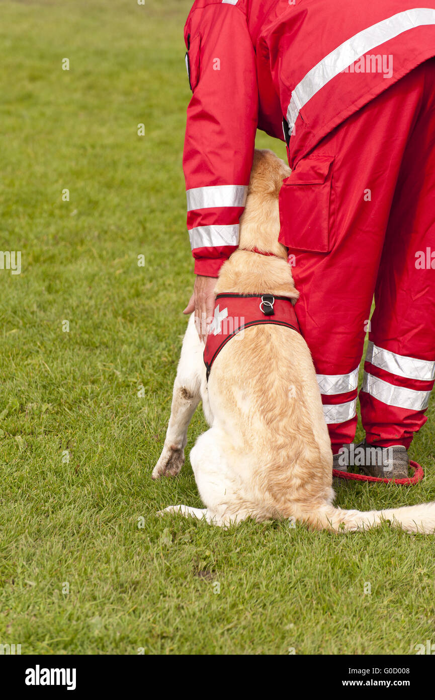 Training of a Rescue Dog Squadron Stock Photo Alamy