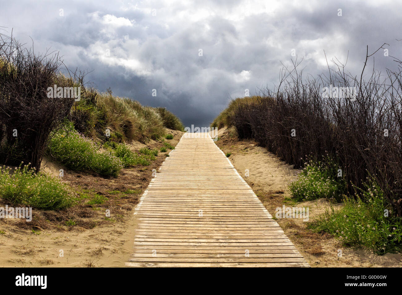 road Langeoog Stock Photo